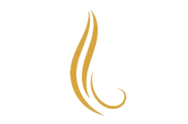 LEAVE IN HAIR<br/>CONDITIONING